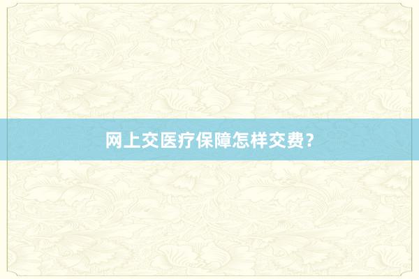 网上交医疗保障怎样交费？